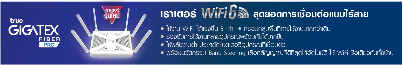 สัญญาณ เน็ตบ้านทรู